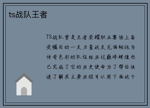 ts战队王者